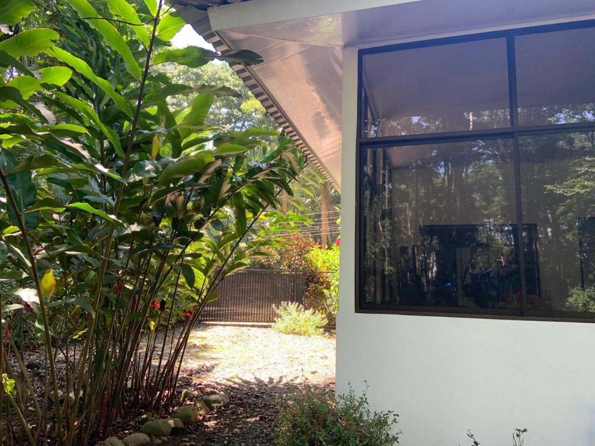 Beachfront Apartment פונטה אובה מראה חיצוני תמונה