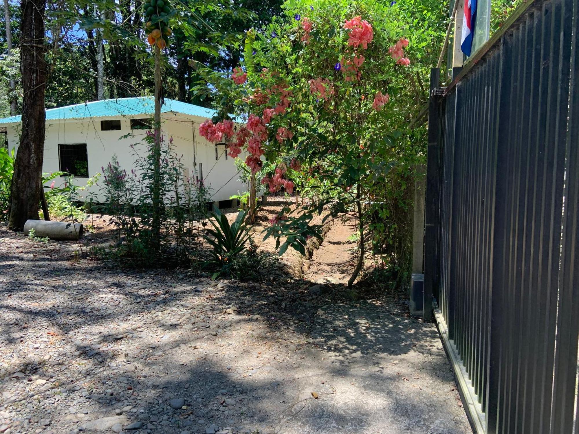 Beachfront Apartment פונטה אובה מראה חיצוני תמונה
